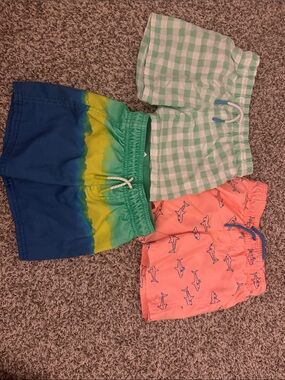 Boys Swim Shorts Trio - Green Gingham, Blue-Green Ombre & Coral Shark Print